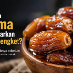 Mengapa Kurma Mengeluarkan Cairan Lengket? Kenali Penyebabnya Sebelum Menganggap Kurma Rusak Mengapa Kurma Mengeluarkan Cairan Lengket? Kenali Penyebabnya Sebelum Menganggap Kurma Rusak