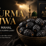 Kenapa Harga Kurma Ajwa Lebih Mahal Dibanding Kurma Lain? Kenapa Harga Kurma Ajwa Lebih Mahal Dibanding Kurma Lain?